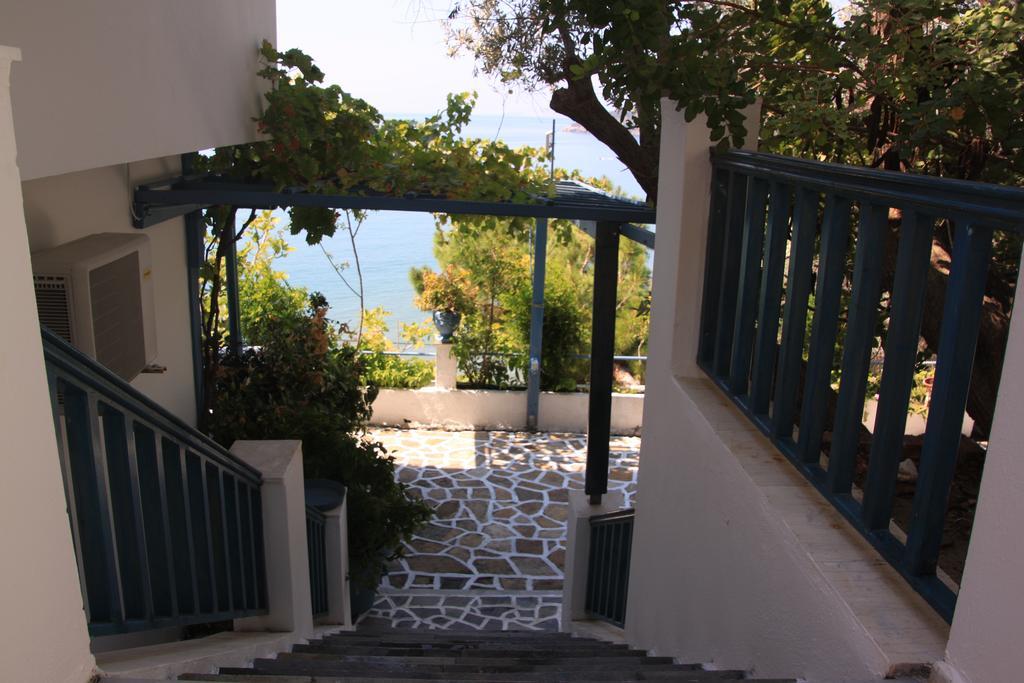 Daire Blue Horizon *